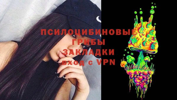 а пвп мука Абаза