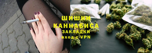 стаф Осташков